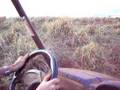 videos de Cynthia drives the Rhino - Maui