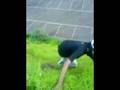 Trek Down