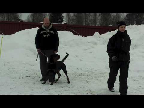 Se filmklipp!