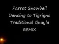 A Bird Dancing to Traditional Tigrigna Guayla Song