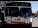Mississauga Transit Orion VI 9835 on route 8 Cawthra Mississauga Transit Orion VI 9835 on route 8 Cawthra