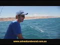 Adventure Bound Offshore Fishing Kalbarri WA Part 3