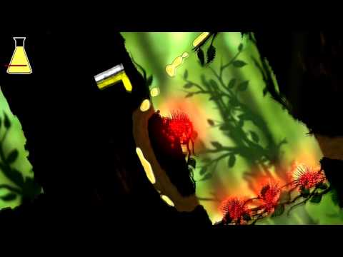 Image de prévisualisation YouTube