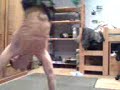 brek poirrier 40sec