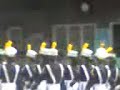 This is the preview of the awesome...