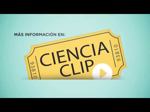 Imagen de previsualización de YouTube