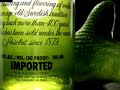 Absolut Pears (Snake)