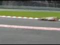 F1 SPA 2008 sep