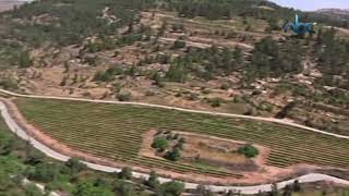 قرية قالونيا في القدس، إحدى القرى الفلسطينية المهجرة التي سيطر عليها الإحتلال