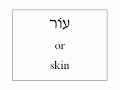 Learn Hebrew - Human Body Vocabulary (English version)