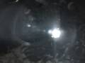Clownfish Eggs Hatching On New Years Eve Part 1 Clownfish Eggs Hatching On New Years Eve Part 1