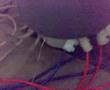 RAVI 'S STANLEY MEYER REPLICATION WATER FUEL CELL -006