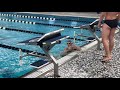 Penn State Altoona Men's & Women's Swimming vs. Wells, 1-14-20