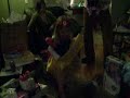 money video