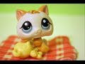 Littlest Pet Shop: The Summer Camp: Part 1 [THE REMAKE]
