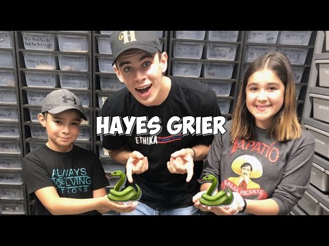 YouTube reptile video