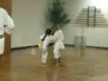 videos de jiu-jitsu1 6 09 (3)