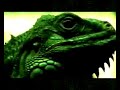 1. offizielles video f�r raptile und e-la aka lioness
...oldschool video von raptile...