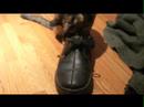 A Cat, A Shoe, And A Ping-Pong Ball