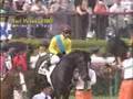 ウオッカ~歴史の扉を開けた馬~