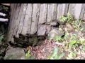 phim 3gp hay nhat phim hay nhat ve Vinh Ha Long tu truoc den nay.3GP ...