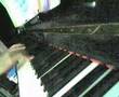 Allegro-Moderato