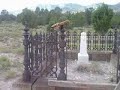 deerfeet.mp4