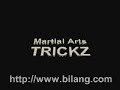Sireesha Ashanti Martial Arts Demo French Open 2001