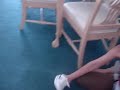 dfhdfhdfh dfhdfhdfh