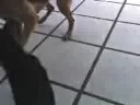 Uran e Meg! Uran e Meg!