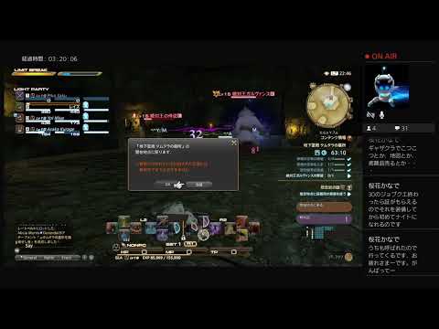 動画