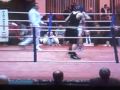 pape v inman