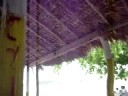 EN CORRALERO OAXACA EN CORRALERO OAXACA
