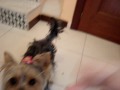 Xena Jugando.MPG