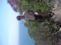 Aloes in South Africa