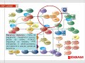 ERP CIGAM Apresenta��o