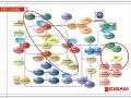 ERP CIGAM Apresentação