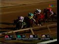 2008 Preakness Stakes - Big Brown