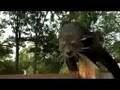videos de Bearcat Walkabout - Cincinnati Zoo