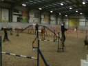 Cougar (Morgans Assassin AW Gold) Grade 7 Agility Kelpie owned/handled by Nigel Staines