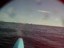 Byron Bay Whale Watching With Go Sea Kayak june 12