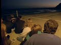 Amazing spectacle! Penguins in Melbourne, Australia - David Attenborough  - BBC wildlife