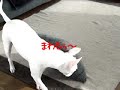 turn turn turn