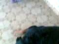 videos de natalie e mag