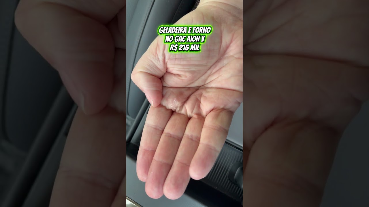 GELADEIRA e FORNO dentro do carro? Conheça o Thermovault! 🥶🔥