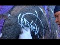 Venice Graffiti Wall Controversy