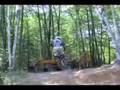 Shredding-the-SDG