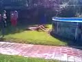 kreft springt im pool kreft springt im pool