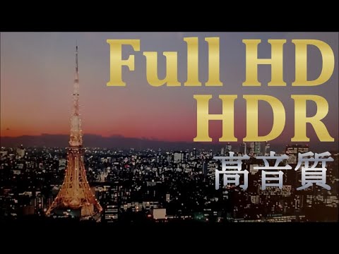 動画