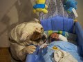 bulldog y bebé